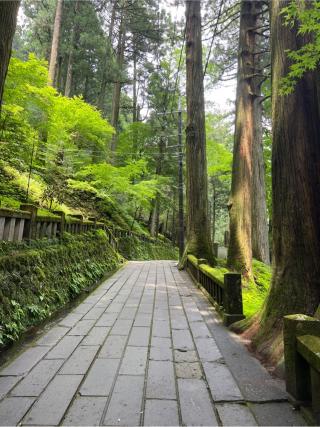 榛名神社の参拝記録(⛩️🐍🐢まめ🐢🐍⛩️さん)