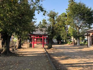 胸形神社の参拝記録(たーこさん)