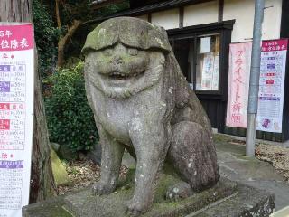 小幡八幡宮の参拝記録(Saoさん)