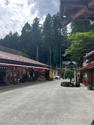 中之嶽神社の参拝記録(⛩️🐍🐢まめ🐢🐍⛩️さん)