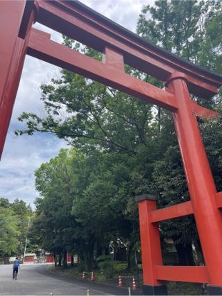 一之宮貫前神社（上野国一宮）の参拝記録(⛩️🐍🐢まめ🐢🐍⛩️さん)