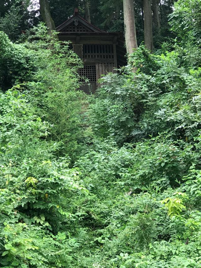 波古曽神社の参拝記録(奈々姫さん)