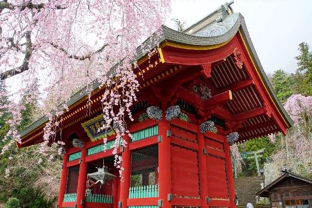 群馬県富岡市妙義町妙義6 妙義神社の写真14