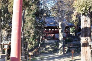 笹森稲荷神社の参拝記録(たーこさん)