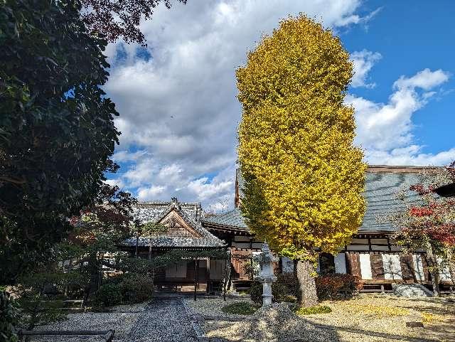 曜光山見明星悟道院月山寺の参拝記録5