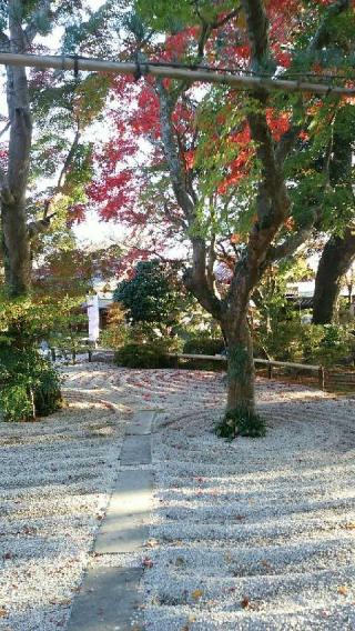 曜光山見明星悟道院月山寺の参拝記録(トカさん)