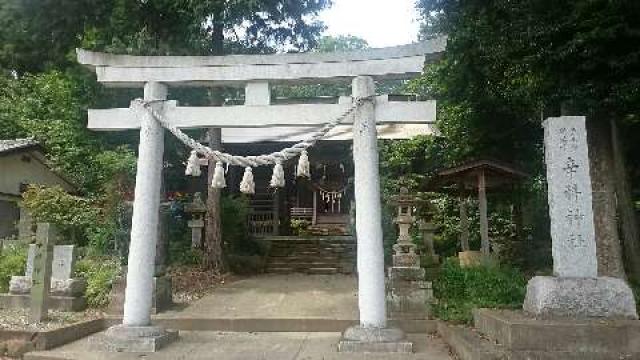 辛科神社の参拝記録6