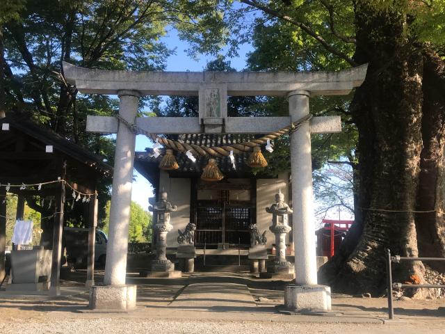 群馬県藤岡市岡之郷532番地 水宮神社の写真1