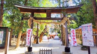 中山神社（中氷川神社）の参拝記録(オトギリルさん)