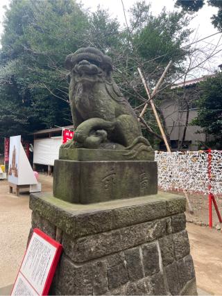 中山神社（中氷川神社）の参拝記録(⛩️🐍🐢まめ🐢🐍⛩️さん)