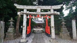 氷川神社(島根)の参拝記録(ロビンさん)