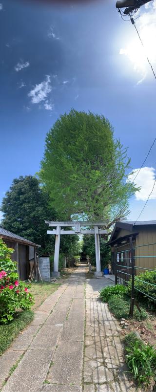 一山神社の参拝記録(ちろえみしさん)