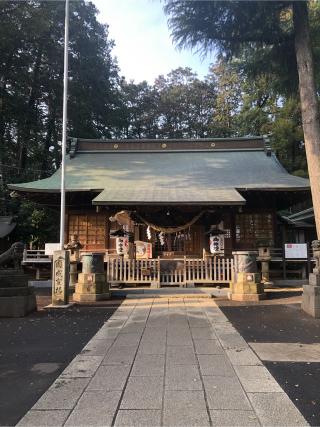 西堀氷川神社の参拝記録(つっつんさん)