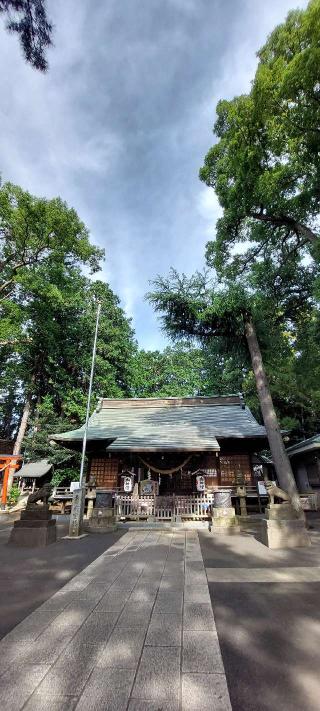 西堀氷川神社の参拝記録(まーぼーさん)