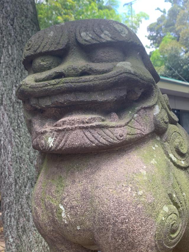 西堀氷川神社の参拝記録3