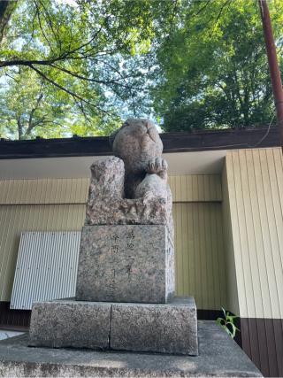 調神社の参拝記録(⛩️🐍🐢まめ🐢🐍⛩️さん)