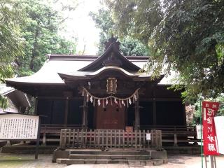 氷川女體神社の参拝記録(金猿さん)