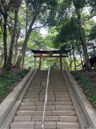 氷川女體神社の参拝記録(⛩️🐍🐢まめ🐢🐍⛩️さん)