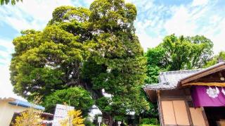 九重神社の参拝記録(オトギリルさん)