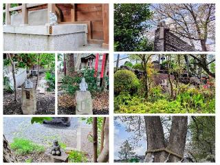 鎮守氷川神社の参拝記録(オトギリルさん)