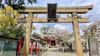 元郷氷川神社の参拝記録(オトギリルさん)