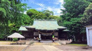 峯ヶ岡八幡神社の参拝記録(オトギリルさん)