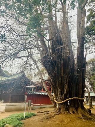 峯ヶ岡八幡神社の参拝記録(shikigami_hさん)