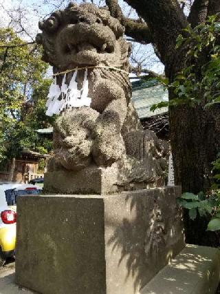 鳩ヶ谷氷川神社の参拝記録(ひーさん)