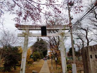岡氷川神社の参拝記録(miyumikoさん)