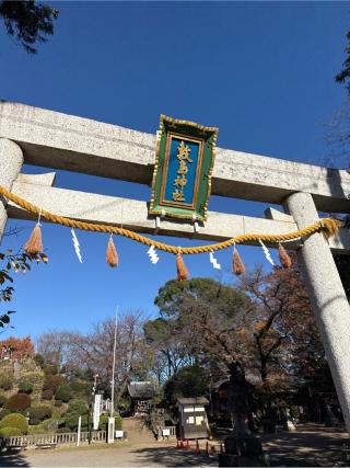 敷島神社の参拝記録(⛩️🎠🐢まめ🐢🎠⛩️さん)