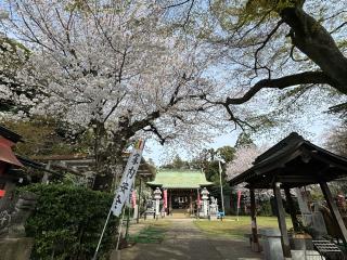 新倉氷川八幡神社の参拝記録(こーちんさん)