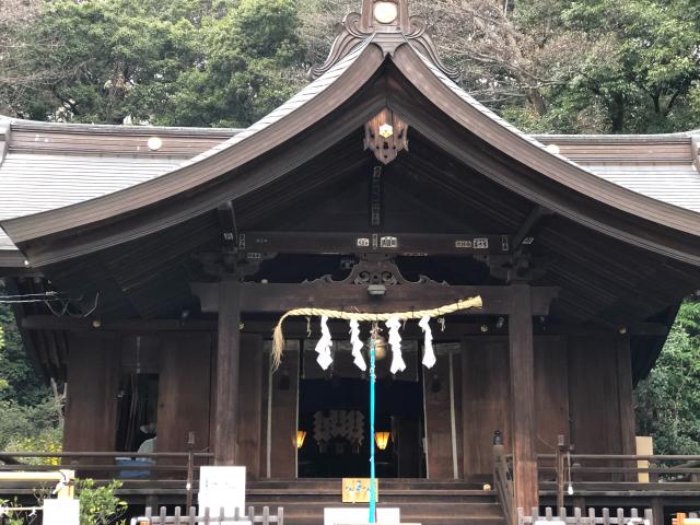 埼玉県和光市白子2-15-50 熊野神社の写真1