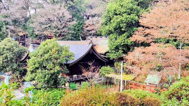 熊野神社の参拝記録1