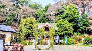 熊野神社の参拝記録(オトギリルさん)