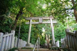 武野神社の参拝記録(thonglor17さん)