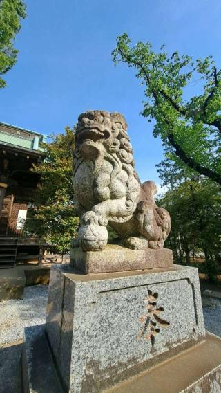 野火止氷川神社の参拝記録(はじめさん)