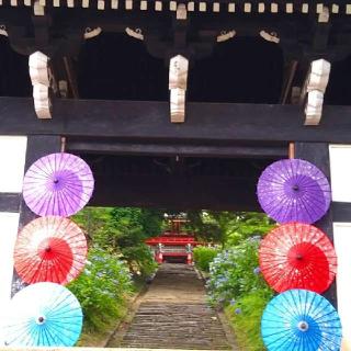 雨引山 楽法寺（雨引観音）の参拝記録(桃さん)