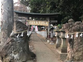 馬場氷川神社の参拝記録(千葉犬🐶さん)