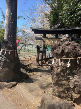 馬場氷川神社の参拝記録(⛩️🐍🐢まめ🐢🐍⛩️さん)