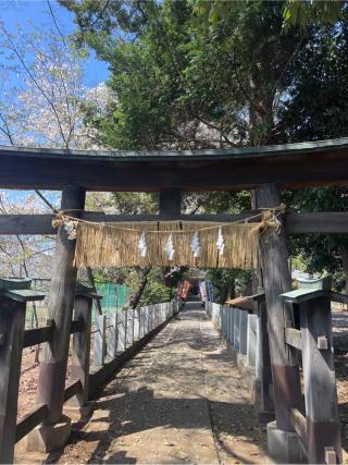馬場氷川神社の参拝記録(⛩️🐍🐢まめ🐢🐍⛩️さん)