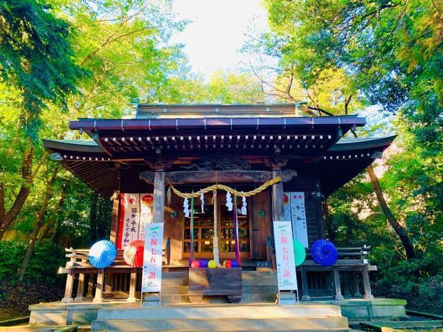 馬場氷川神社の参拝記録(shikigami_hさん)