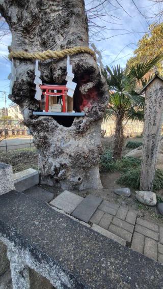 桶川稲荷神社の参拝記録(ツナ缶さん)