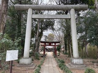 諏訪神社（桶川市川田谷）の参拝記録(レモンサワーさん)