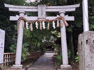 氷川神社（北本高尾氷川神社）の参拝記録(のりさん)