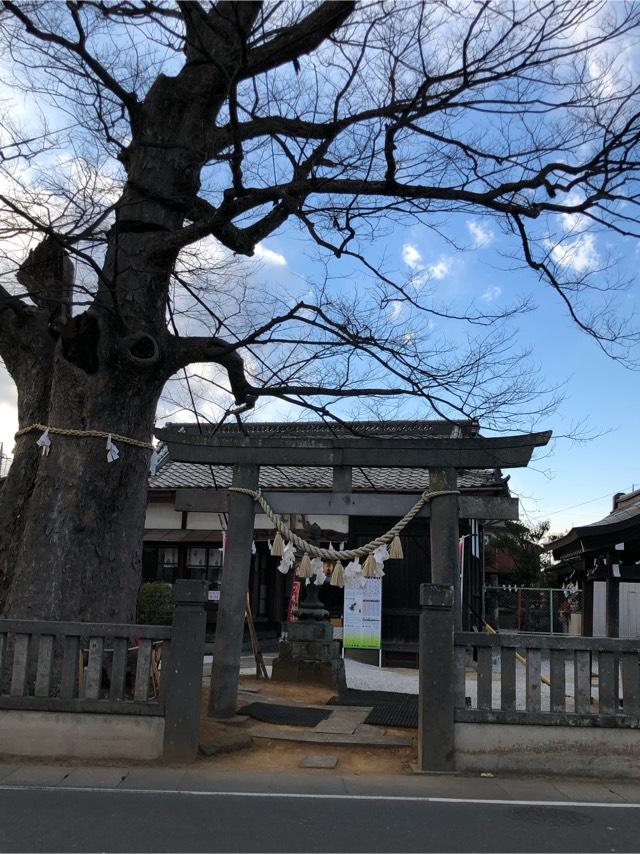 三ツ木神社の参拝記録10
