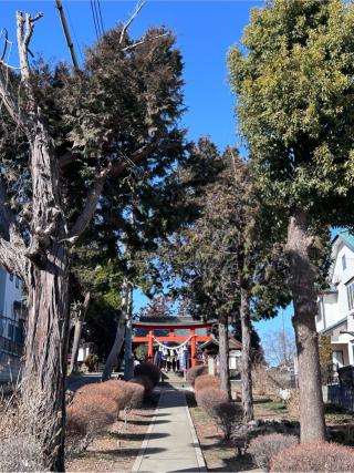 大野神社の参拝記録(みんとさん)
