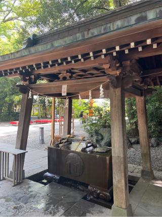 氷川神社（川越氷川神社）の参拝記録(⛩️🐍🐢まめ🐢🐍⛩️さん)