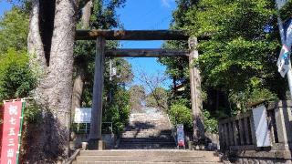 神明社（所澤神明社）の参拝記録(オトギリルさん)