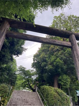 神明社（所澤神明社）の参拝記録(⛩️🐍🐢まめ🐢🐍⛩️さん)