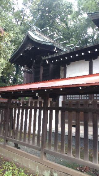 熊野神社の参拝記録(ステイさん)